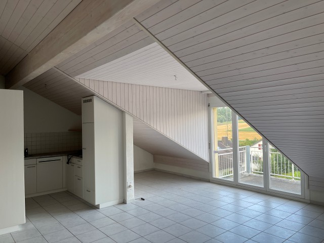Moderne Dachwohnung mit Aussicht 5212 Hausen