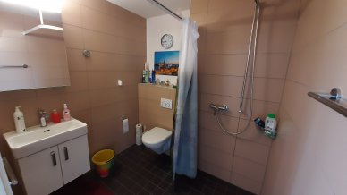 WC / Hindernisfreie Dusche
